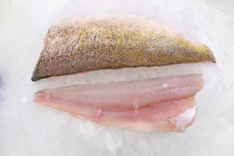 Lake Erie Walleye on a platter